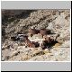 deathvalley12.jpg
